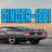 Ginger-1221