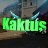 Kaktus3000