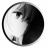 Kamilich