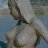 Lomicus