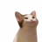 monyraze