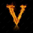 viden