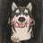 Wolfo