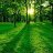 Egor310809