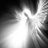 freedom_osint