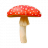 111brodik111