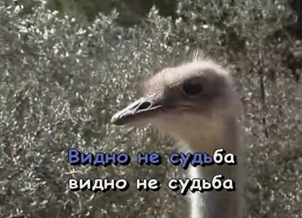 SxeaRqEo7pY.jpg