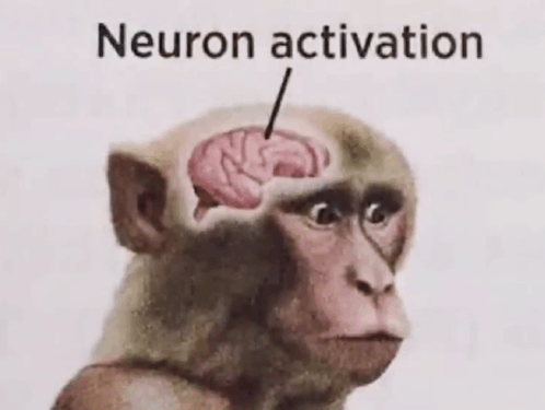 neuron-activation.gif