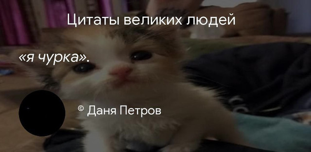 yondimechurka.jpg