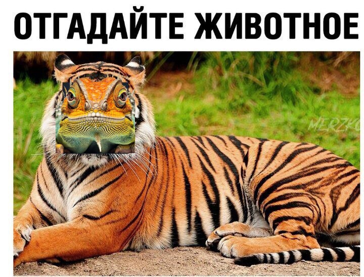 mpys9sS.jpeg