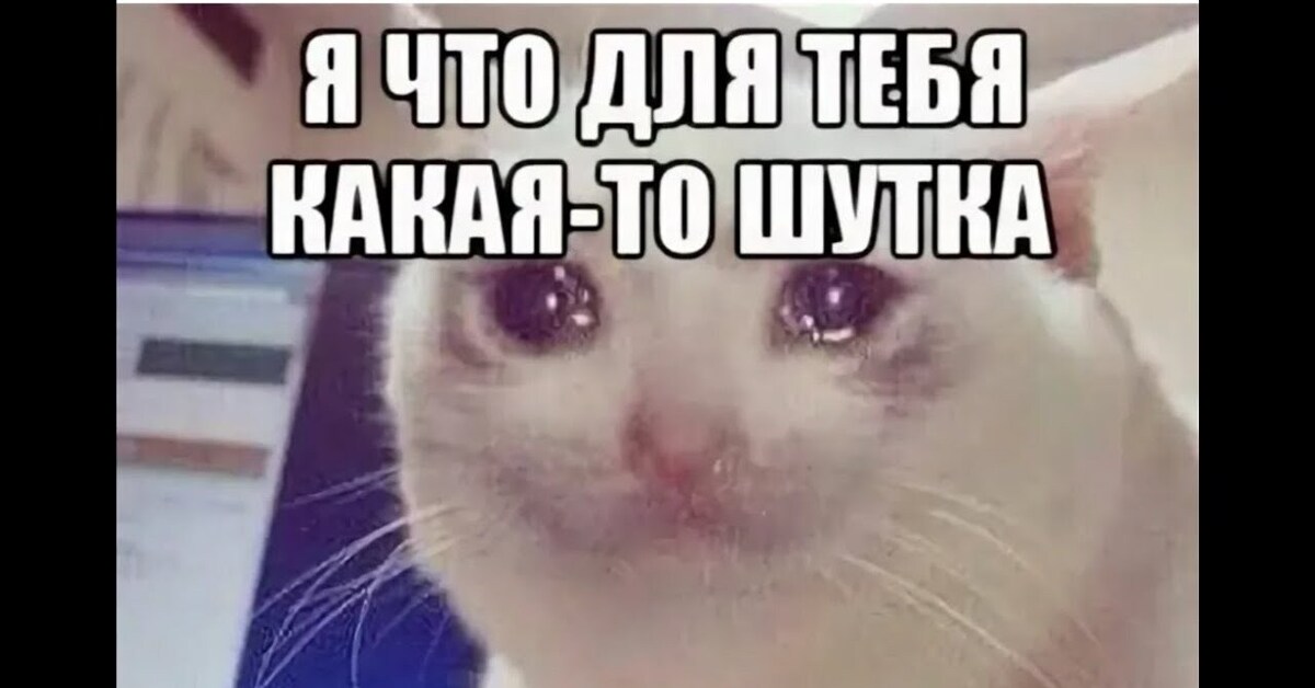 og_og_1668586739254239606.jpg