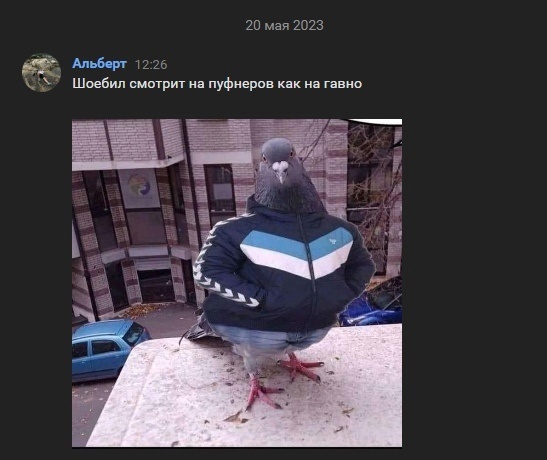 XokR9p1.jpeg