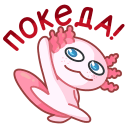 1-20202-128