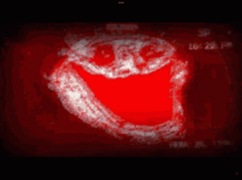 exe.gif