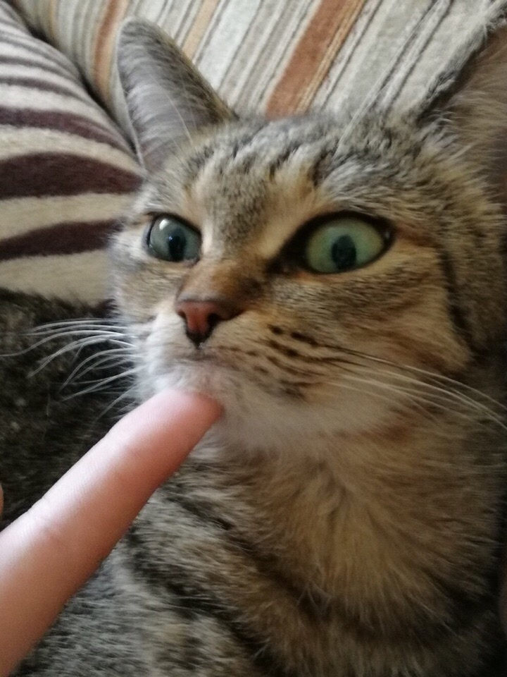 WtxOuhnNQdM.jpg
