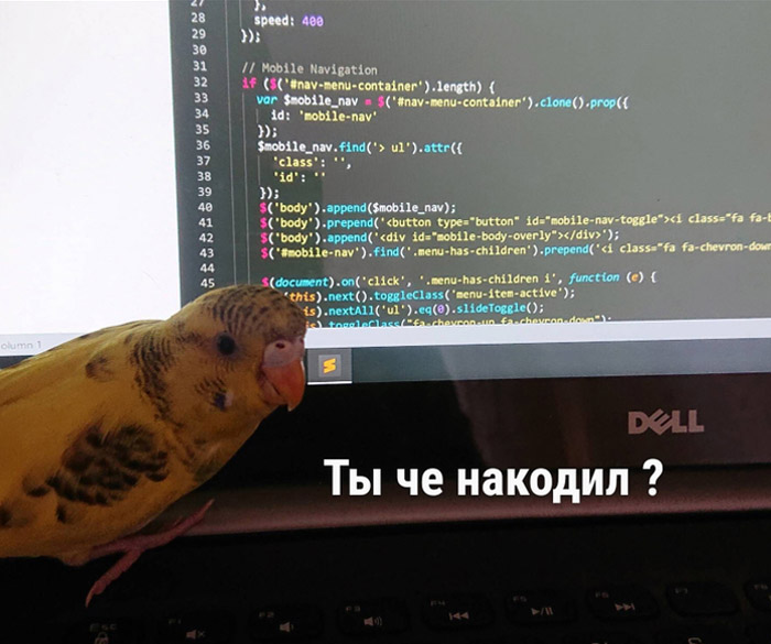 ZqRyB.jpg