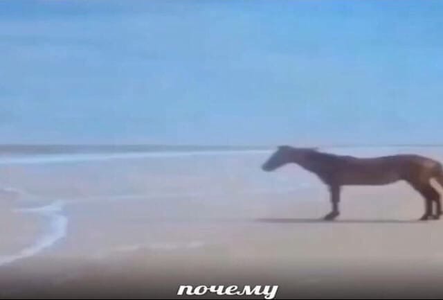 mem-pochemu.jpg