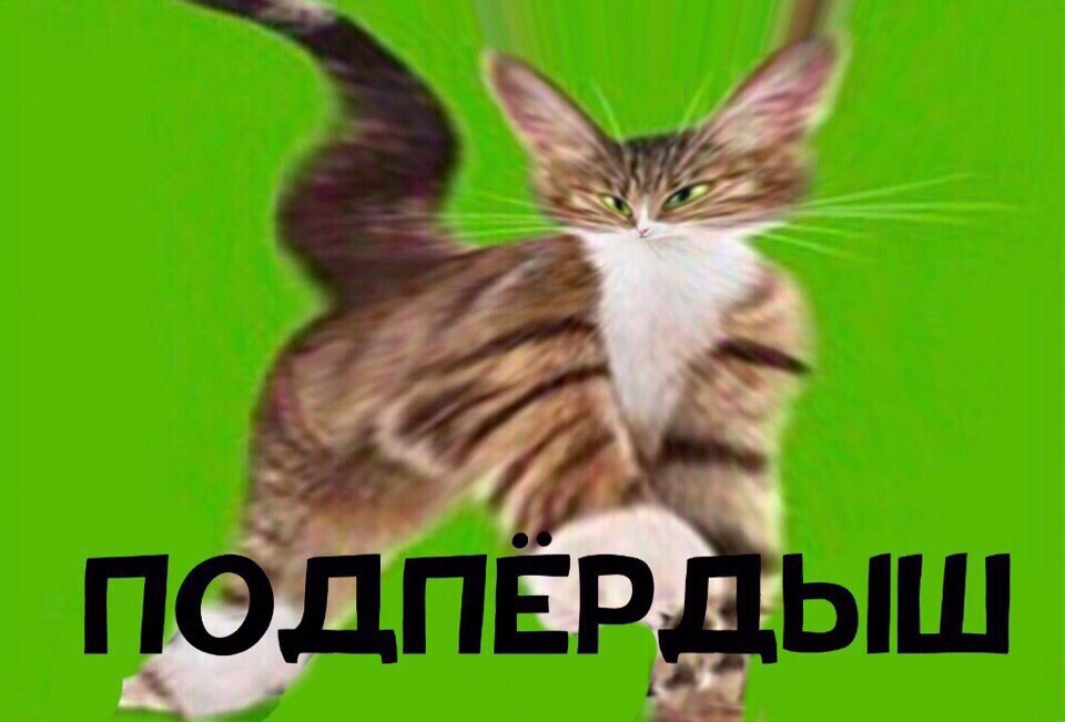 UvHz18i.jpg