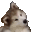 :cutedog: